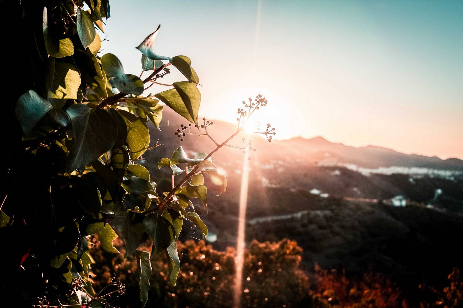 nerja nature el fike real estate