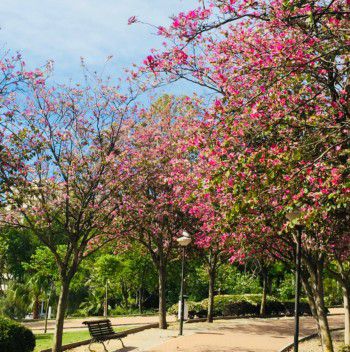 parque de la paloma benalmadena el fike real estate